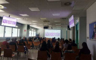 Progress report : « Systematic characterization of gastric cancer preclinical models »