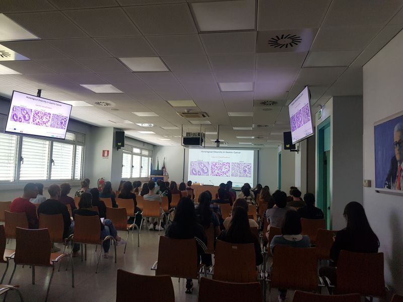Progress report : « Systematic characterization of gastric cancer preclinical models »